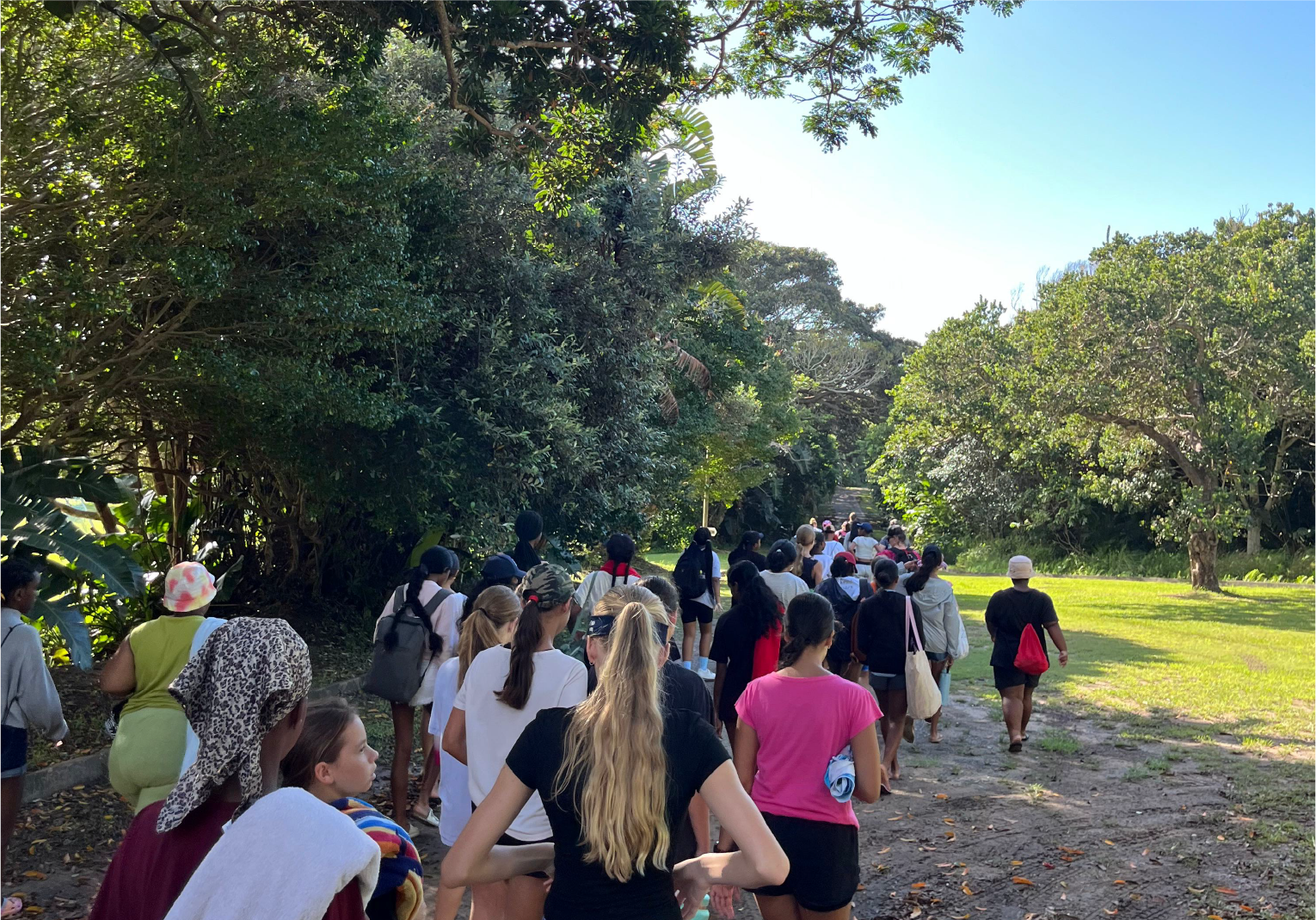 Camp Anerley group walking along a shaded forest driveway surrounded by trees and sunlight.