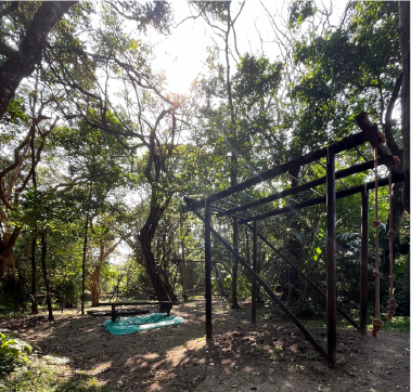 Wooden obstacle course surrounded by trees at Camp Anerley’s outdoor adventure area.