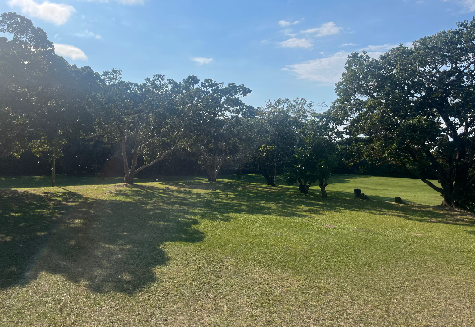 Open grassy field surrounded by trees at Camp Anerley, ideal for outdoor games, activities, and gatherings.