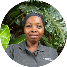Smiling Camp Anerley team member wearing a grey Camp Anerley shirt, standing in front of lush tropical plants.